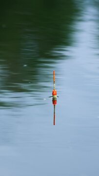 White and orange fishing bobber floating in the river. Unmoving float on still water on cloudy day. Vertical video