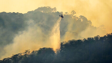 Fire fighting helicopter dropping water to extinguish the forest fire. - 792626570