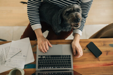 A woman is sitting at a desk with a laptop and a dog on her lap, the dog is looking at the camera...