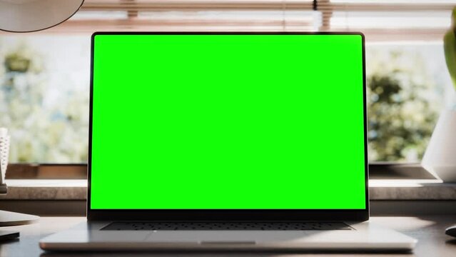Laptop with a blank green screen, featuring zoom and static looped footage of trees swaying or moving in the wind. The video loops for the last 120 frames.