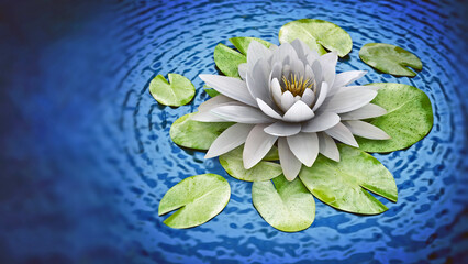 White lilly on the water. 3D illustration - 792628779