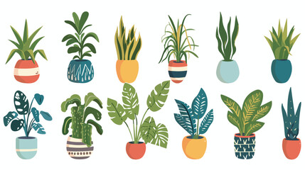 Set of office plants in pots. Vector flat style illustration