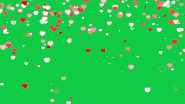 Cute hearts failing down green screen effect