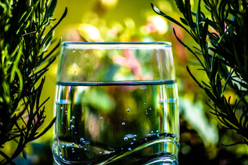 Ein Glas Wasser stehend zwischen zwei Pflanzen in der Natur