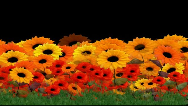 field of mixed flowers swaying in the wind