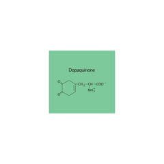 Dopaquinone skeletal structure diagram.Dopamine metabolite compound molecule scientific illustration on green background.