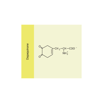 Dopaquinone skeletal structure diagram.Dopamine metabolite compound molecule scientific illustration on yellow background.