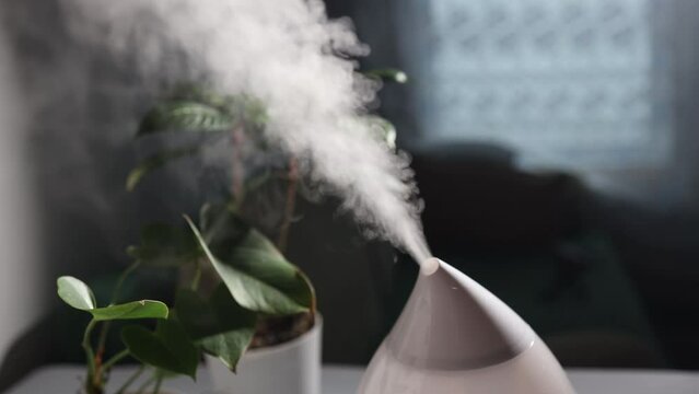 Aromatherapy air humidifier of modern design works indoors maintaining a comfortable microclimate. High quality 4k footage