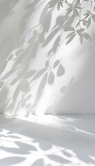white wall with white wood floor, light shadow reflection, empty space for product presentation mockup