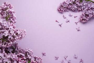 Floral pattern of a branch of purple lilac flowers on a purple background. Holiday concept. Top...