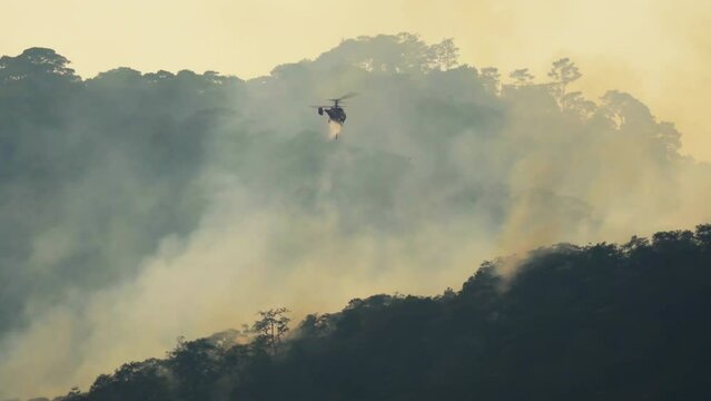 Fire fighting helicopter dropping water to extinguish the forest fire.