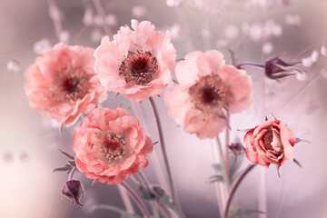 Wiosenne kwiaty - Kukliki Mai Tai. - obrazy, fototapety, plakaty