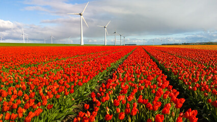 Windmill park in Spring, windmill turbines generating green energy electrically, windmills and...
