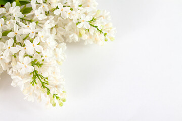 white lilac flowers lie on a white table, close-up