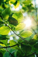 Sun-Kissed Leaves Offering a Glimpse of Nature's Serene Beauty - Generative AI