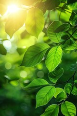 Fototapeta na wymiar Sun-Kissed Leaves Offering a Glimpse of Nature's Serene Beauty - Generative AI