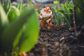 A gnome figurine stands in the center of a blossoming garden, surrounded by colorful flowers and lush greenery, under the bright sunlight.