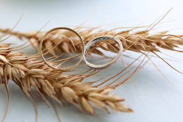 Pair of wedding ring on a wheat ear.