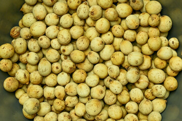Langsat Fruit. Lansium parasiticum. A typical Southeast Asian fruit