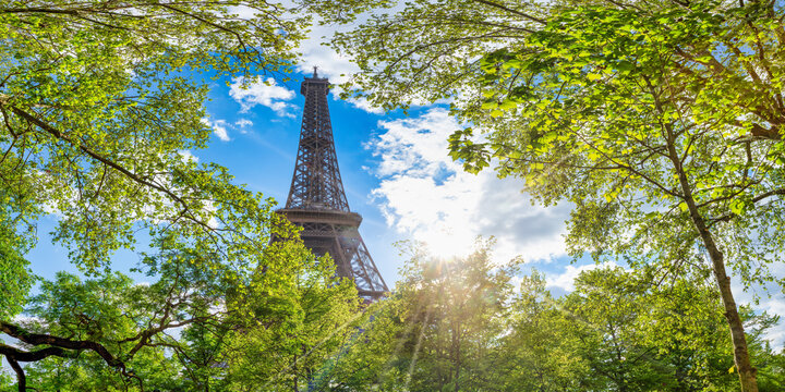 Horizontal Eiffel Tower Spring Scene: Iconic Landmark Amidst Lush Greenery