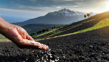 Jesus' Parable About the Sower who went out to Sow The Word.