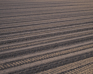 耕作された農地とトラクターの跡 / Cultivated farmland and tractor tracks