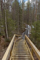 A wood walkway on trail to Myllykoski rapids in the forest in cloudy spring weather, Oulanka...
