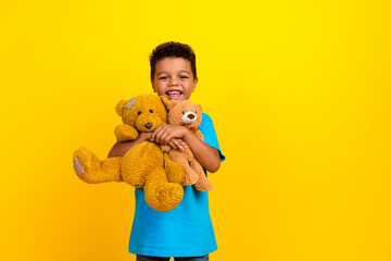 Portrait of satisfied schoolboy with afro hair wear blue stylish t-shirt embrace two teddy bears...