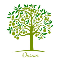 Durian tree isolated on a white background. Fresh durian fruit on tree. Tropical of asian fruit. Vector Illustration