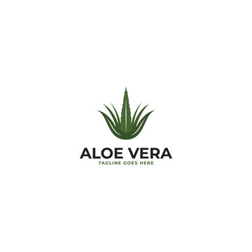 Aloe vera logo design for skincare brands organic products illustration idea