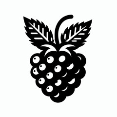 Blackberry silhouette vector illustration White Background