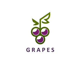 Grape wine icon, featuring linear purple berries, forming a cluster or bunch of grapes plant with a green leaf. Isolated vector linear label or emblem for refined winemaking, beverage package design