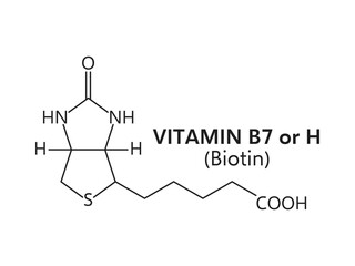 Vitamin b7 or biotin molecular formula c10h16n2o3s. Vector structure or scheme includes a sulfur-containing ring and is crucial for metabolic processes and maintaining healthy skin, hair, and nails