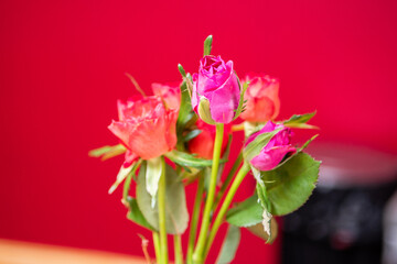 Le bouquet de fleur de la mariée pour son mariage