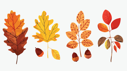 Hand drawn Four autumn leaves rowan acorn and chestnu
