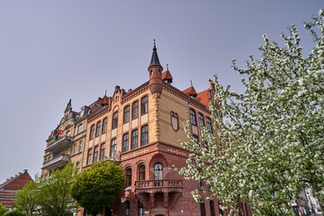 a historic brick tenement house and a tree blooming in spring in the city of Poznan