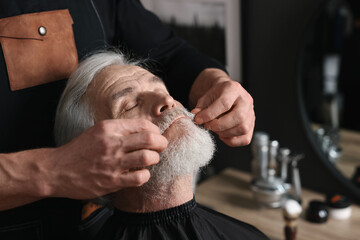 Professional barber working with client's mustache in barbershop, space for text