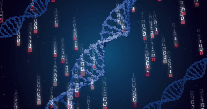 Image of dna strands and binary coding data processing