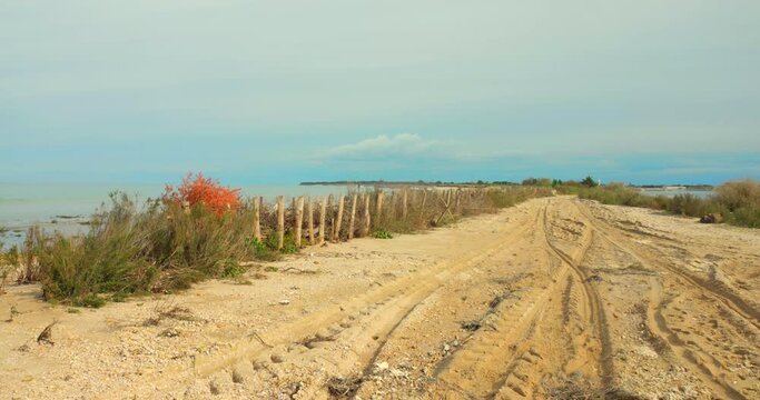 Seaside Sandy Pathway In Ile de R&eacute; Island Off The West Coast of France. Wide Shot