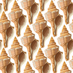 Pattern with seashells. Vector illustration. For print.