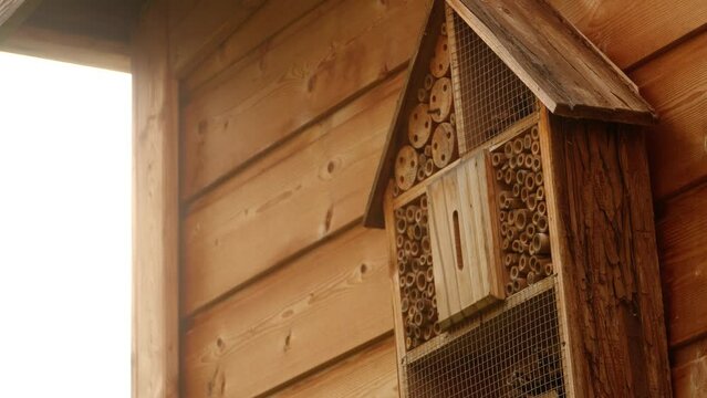 A wild bee flies to an insect hotel hanging on a garden shed.