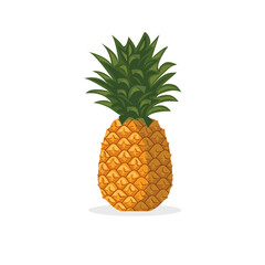 Tropical fruit pineapple. Useful organic natural fruit. A piece of juicy fresh pineapple. Diet Menu. Can use as symbol, icon, package, packaging. Vector illustration.