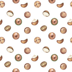 Seamless macadamia nut pattern on a white background. The macadamia tree. Food, snack, brown nut close-up. Watercolor illustration, clipart. Textile, packaging, wallpaper design template