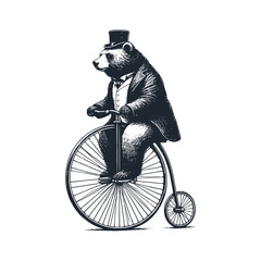 The bear ride penny farthing bike. Black white vector illustration.