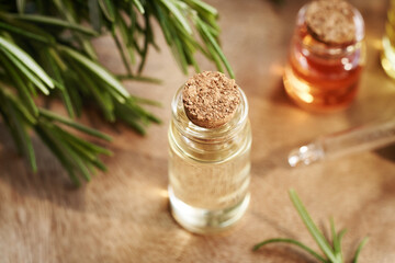 A bottle of aromatherapy essential oil with fresh rosemary plant