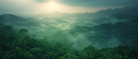 Fototapeta na wymiar Majestic tropical rainforest with mountains and mist in the early morning light