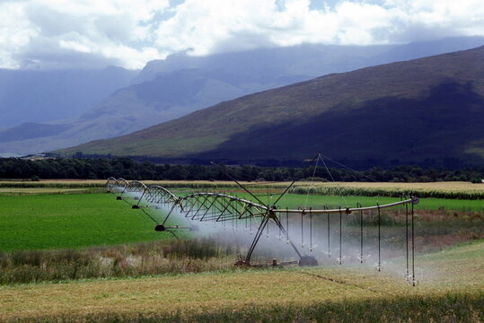 Irrigation, south africa. Eastern cape. Agriculture