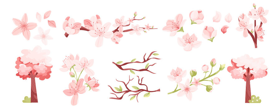 Sakura blossom elements in flat design