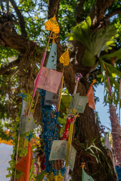 Money donations in tree at Wat Ket Karam Buddhist temple in Chiang Mai, Thailand