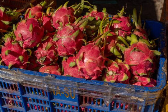 Porters,vendors and customers at Kad Luang fish and vegetable market in Chiang Mai, Thailand